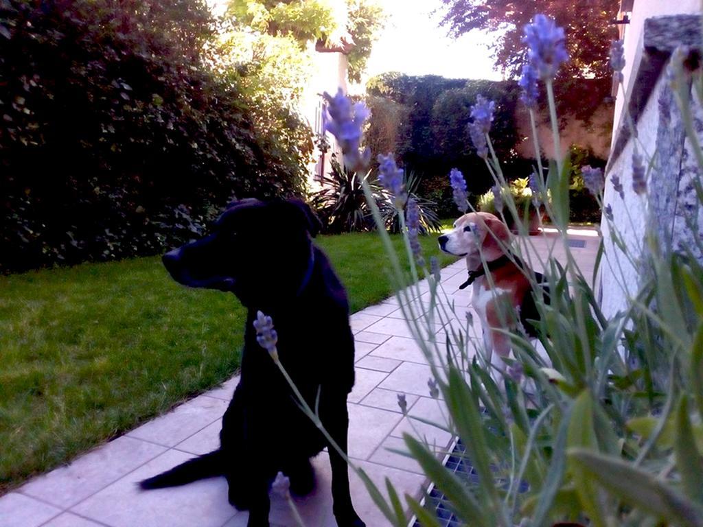 Al Giardino Degli Artisti * Cairo Montenotte